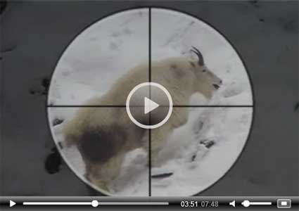Alaska Hunting Video